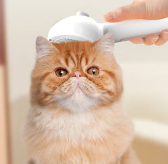 Pet Hair Brush