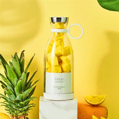 Mini Juicer Blender