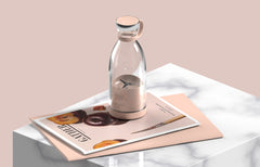 Mini Juicer Blender