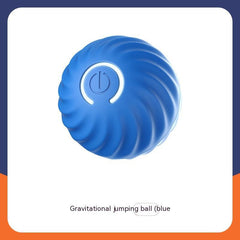 Dog Ball Toys