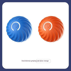 Dog Ball Toys