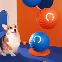 Dog Ball Toys