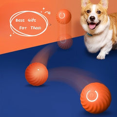 Dog Ball Toys
