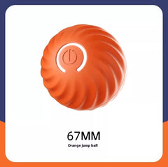 Dog Ball Toys