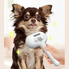 Pet Hair Brush