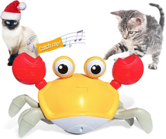 Crawling Crab