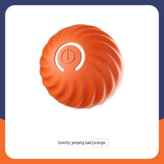 Dog Ball Toys