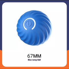 Dog Ball Toys